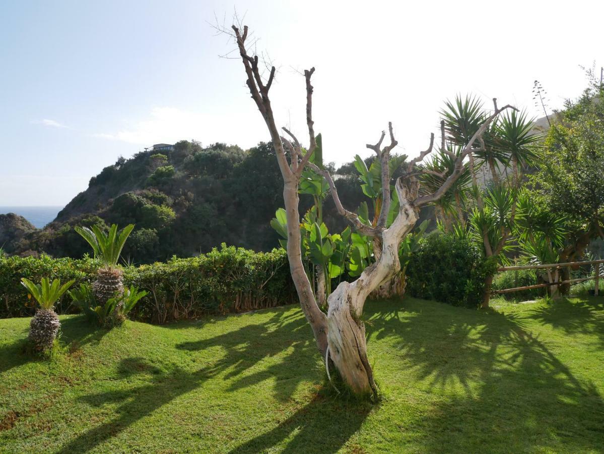 Hotel Torre Sant'Angelo Forio di Ischia Eksteriør bilde